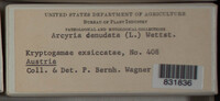 Arcyria denudata image